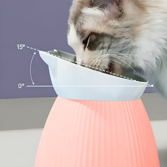 Gamelle chat Ergonomique Inclinée - Mondechat