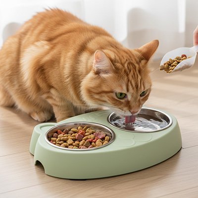 Gamelle Chat Ergonomique Premium | Accessoires pour Chat - Mondechat