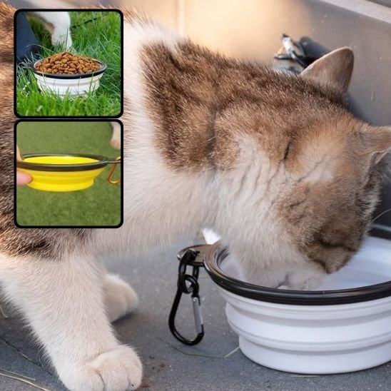 Gamelle chat FélinConfort - Mondechat