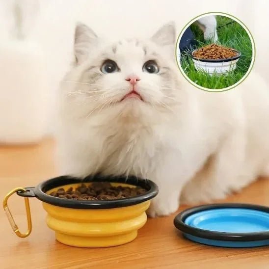 Gamelle chat FélinConfort : l'élégance et le confort pour les repas de votre félin - Mondechat