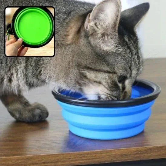 Gamelle chat FélinConfort : l'élégance et le confort pour les repas de votre félin - Mondechat