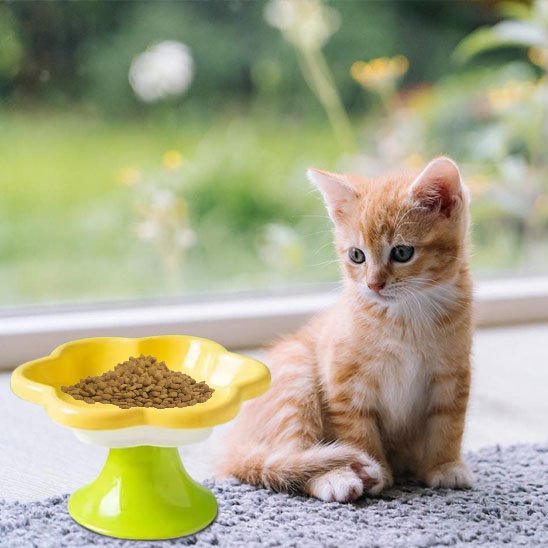 Gamelle chat Fleur Surélévée - Mondechat