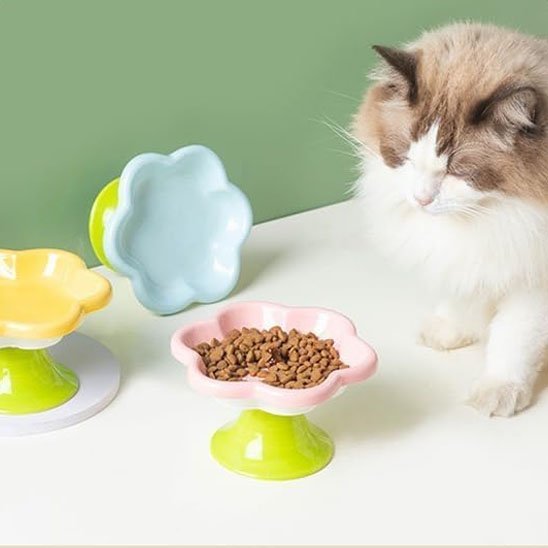 Gamelle chat Fleur Surélévée - Mondechat