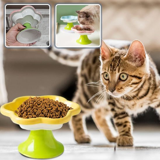 Gamelle chat Fleur Surélévée - Mondechat