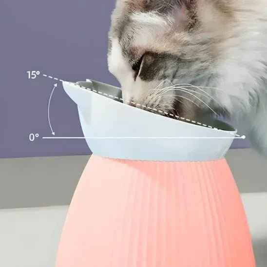Gamelle Chat Inclinée Ergonomique pour un Confort Optimal - Mondechat