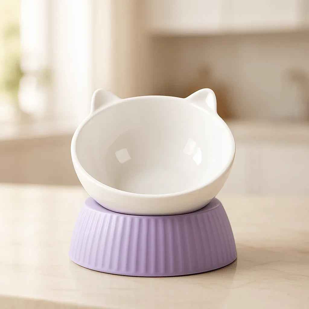 Gamelle Chat Inclinée Ergonomique pour un Confort Optimal - Mondechat