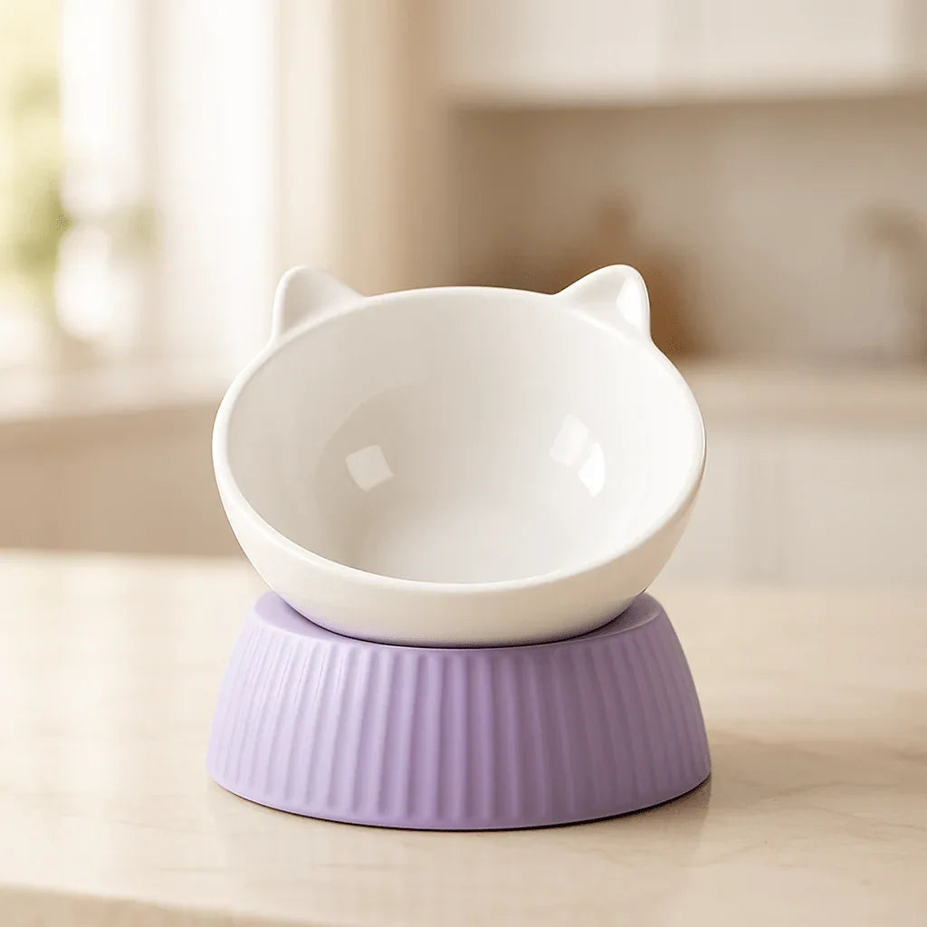 Gamelle Chat Inclinée Ergonomique pour un Confort Optimal - Mondechat