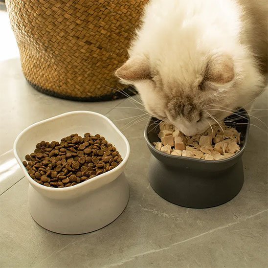 Gamelle Chat | PP Réversible Surélevée Minimaliste Blanc & Gris - Mondechat
