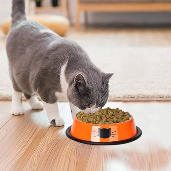 Gamelle chat | Surélevée Antidérapante - Mondechat