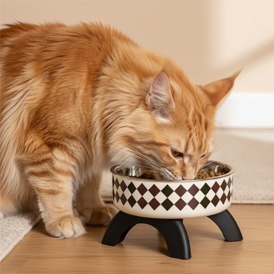 Gamelle chat surélevée | DigestConfort - Mondechat