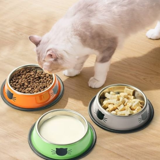 Gamelle chat