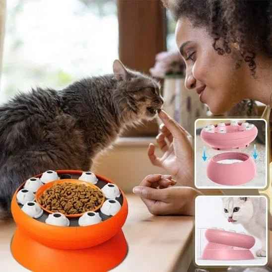Gamelle Ergonomique pour Chat FélinConfort – Confort Optimal pour Votre Félin - Mondechat
