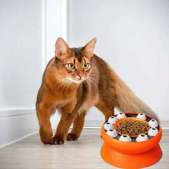 Gamelle Ergonomique pour Chat FélinConfort – Confort Optimal pour Votre Félin - Mondechat