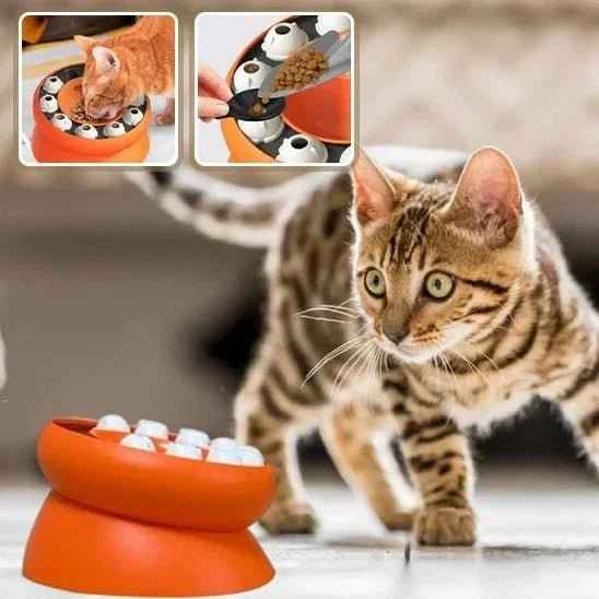 Gamelle Ergonomique pour Chat FélinConfort – Confort Optimal pour Votre Félin - Mondechat
