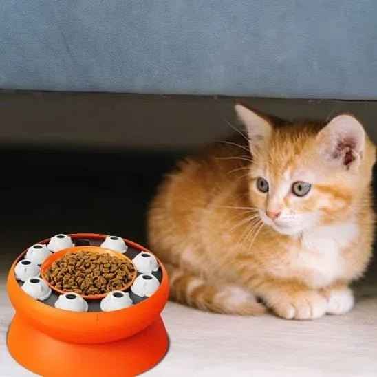 Gamelle Ergonomique pour Chat FélinConfort – Confort Optimal pour Votre Félin - Mondechat