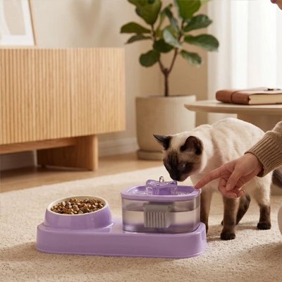 Gamelle pour Chat | Station 2-en-1 Eau & Croquettes - Mondechat