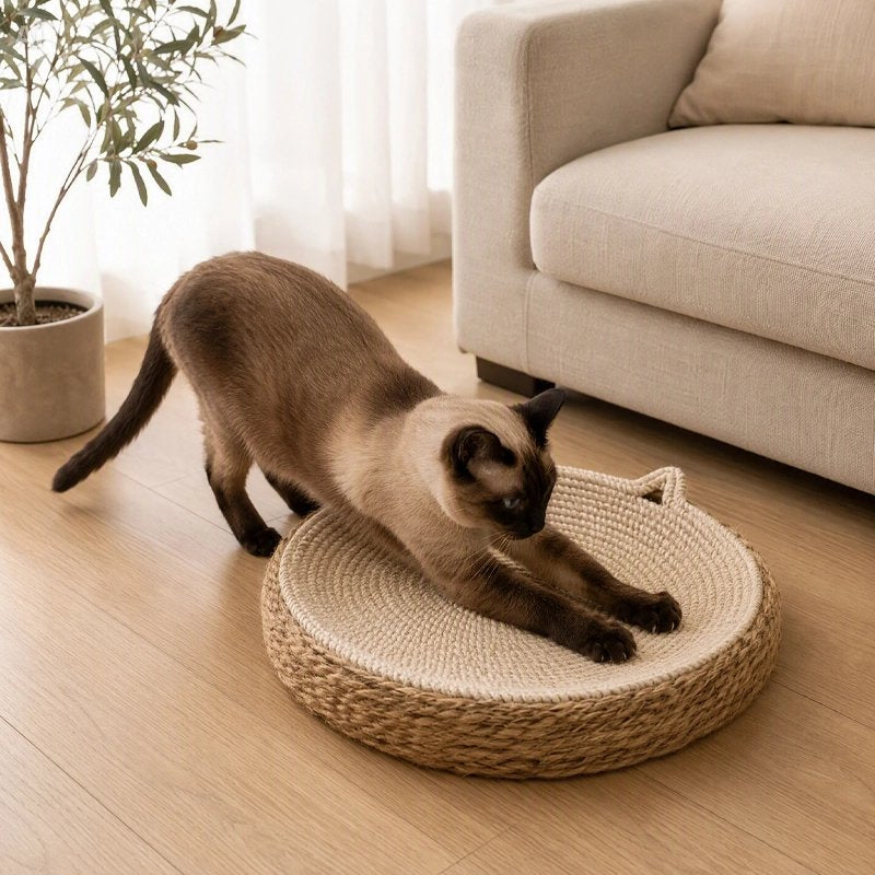 Griffoir à Chat