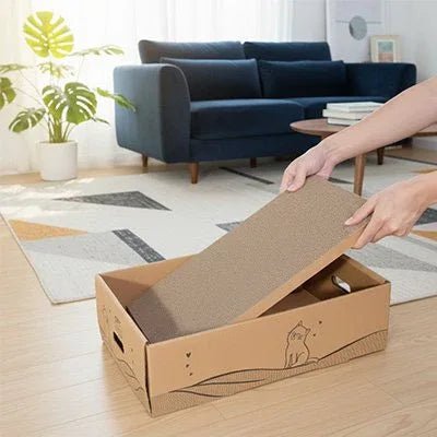 Griffoir Chat carton | ÉcoDurable - Mondechat