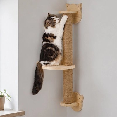 Griffoir Chat | Design Durable - Mondechat