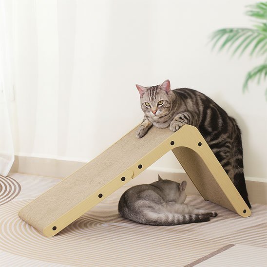 Griffoir Chat | Design Moderne - Mondechat