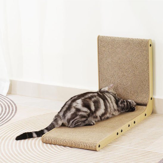 Griffoir Chat | Design Moderne - Mondechat