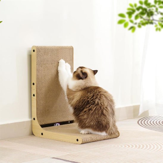 Griffoir Chat | Design Moderne - Mondechat