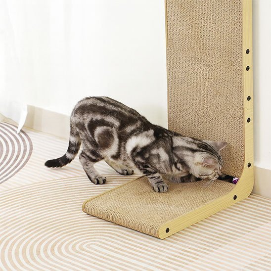 Griffoir Chat | Design Moderne - Mondechat