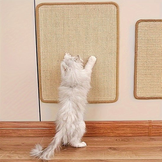 Griffoir chat | Design Résistant - Mondechat