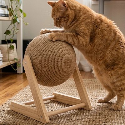 Griffoir Chat | Durable - Mondechat