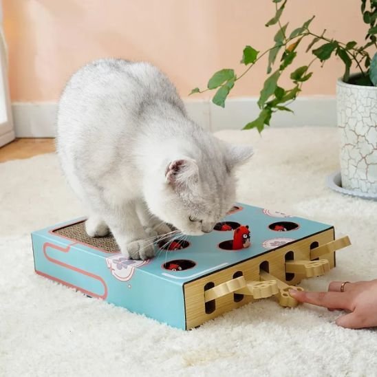 Griffoir Chat | Jeu Interactif & Grattage 2 en 1 - Mondechat