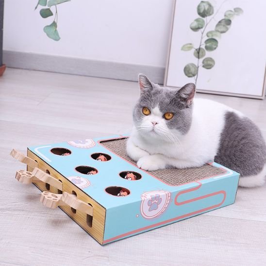 Griffoir Chat | Jeu Interactif & Grattage 2 en 1 - Mondechat