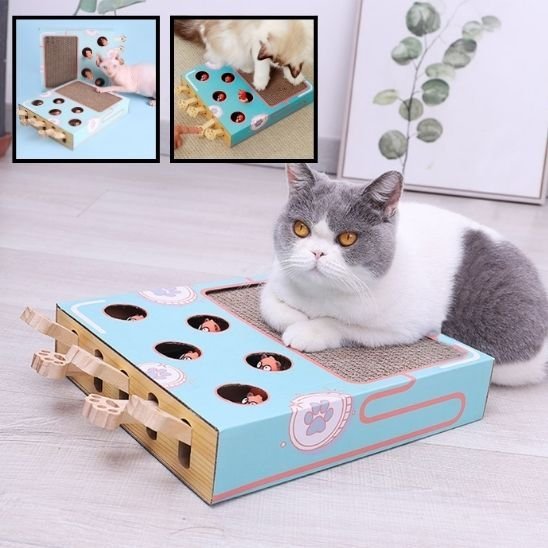 Griffoir Chat | Jeu Interactif & Grattage 2 en 1 - Mondechat