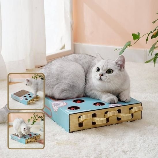 Griffoir Chat | Jeu Interactif & Grattage 2 en 1 - Mondechat