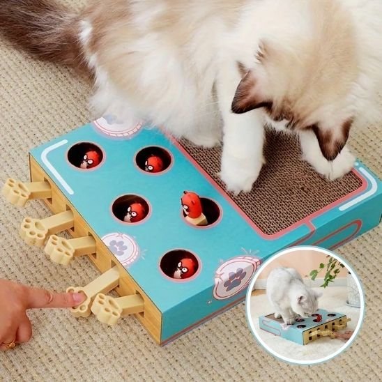Griffoir Chat | Jeu Interactif & Grattage 2 en 1 - Mondechat