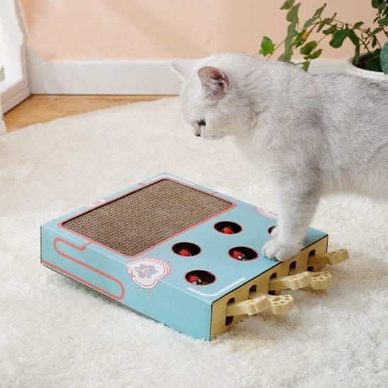 Griffoir Chat | Jeu Interactif & Grattage 2 en 1 - Mondechat