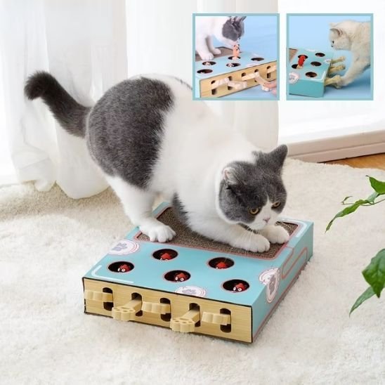 Griffoir Chat | Jeu Interactif & Grattage 2 en 1 - Mondechat