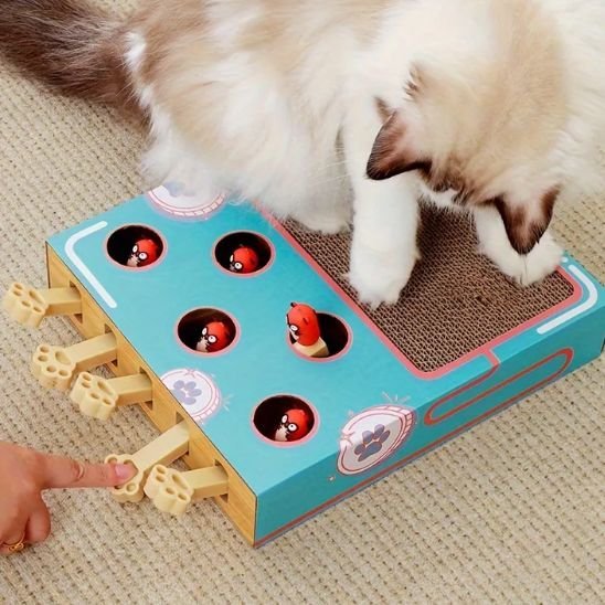 Griffoir Chat | Jeu Interactif & Grattage 2 en 1 - Mondechat
