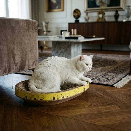Griffoir Chat | Ovale Lounge 2-en-1 Design Décoratif - Mondechat