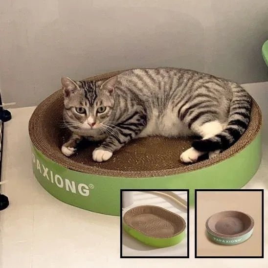 Griffoir pour chat | Design Protect - Mondechat