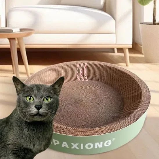Griffoir pour chat | Design Protect - Mondechat