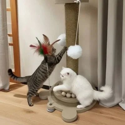 Griffoir pour chat élégant et résistant | FélinConfort - Mondechat