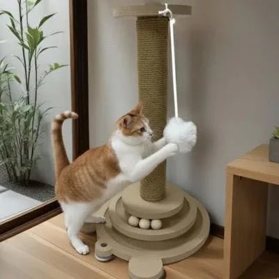 Griffoir pour chat élégant et résistant | FélinConfort - Mondechat