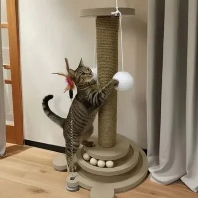 Griffoir pour chat élégant et résistant | FélinConfort - Mondechat