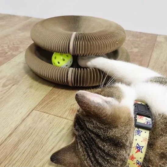 Griffoir pour chat | Pattes Douces - Mondechat
