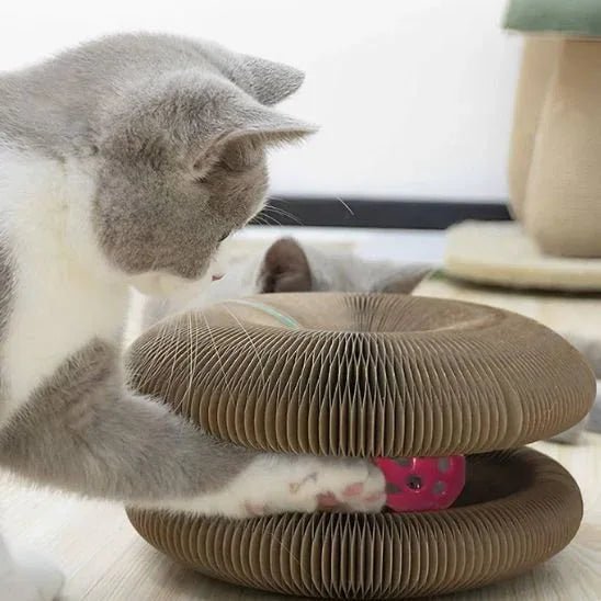 Griffoir pour chat | Pattes Douces - Mondechat