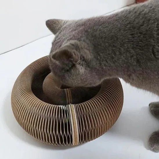 Griffoir pour chat | Pattes Douces - Mondechat