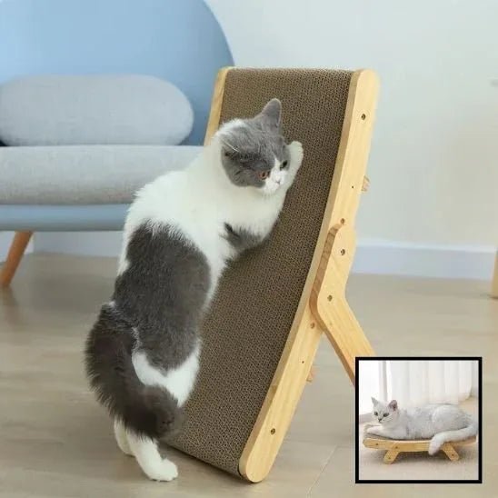 Griffoir pour chat | ProtectMeuble - Mondechat