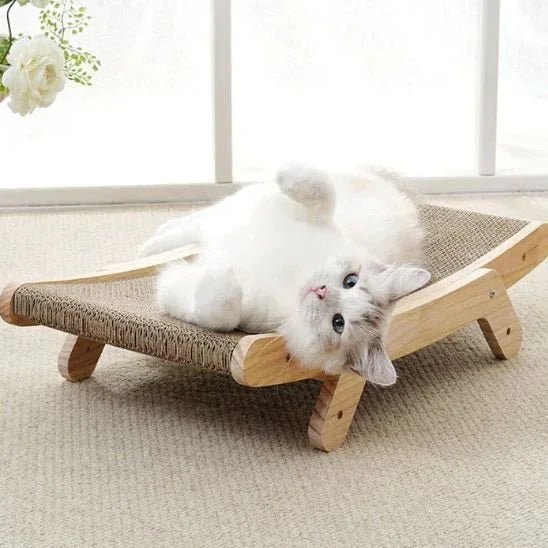 Griffoir pour chat | ProtectMeuble - Mondechat