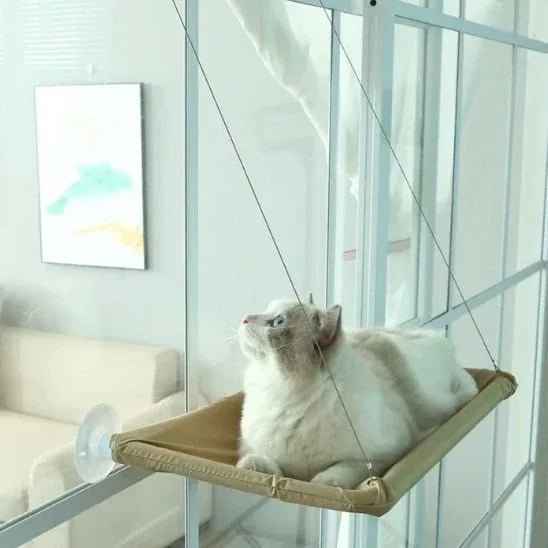 Hamac chat fenêtre | Confort Premium - Mondechat
