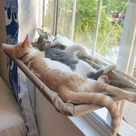 Hamac chat fenêtre | Confort Premium - Mondechat